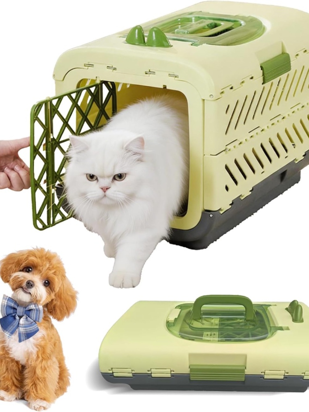 Puffluv Foldable Pet Crate Carrier Green Small Dog Cat NEW
